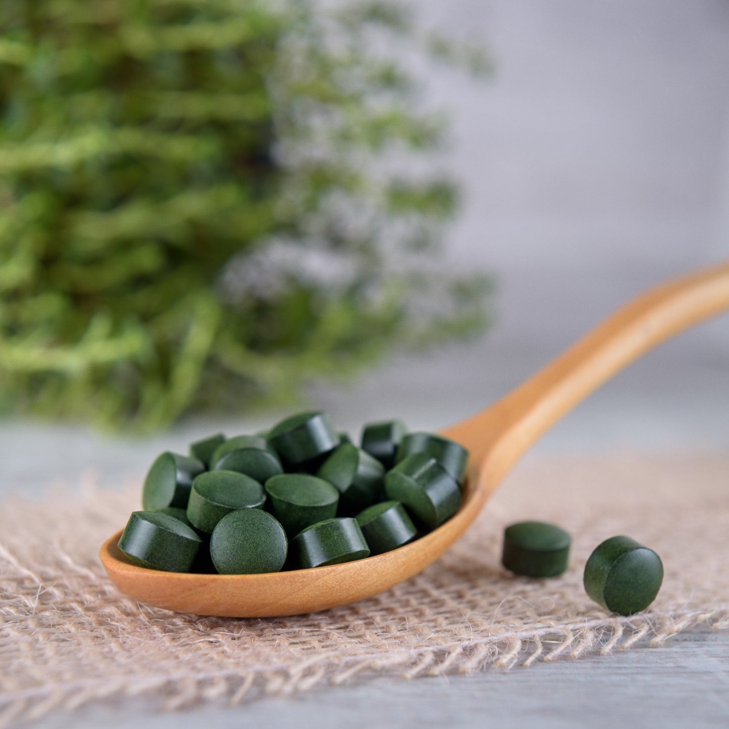 Mynatura Bio Spirulina & Bio Chlorella Algen Tabletten – ab 250g