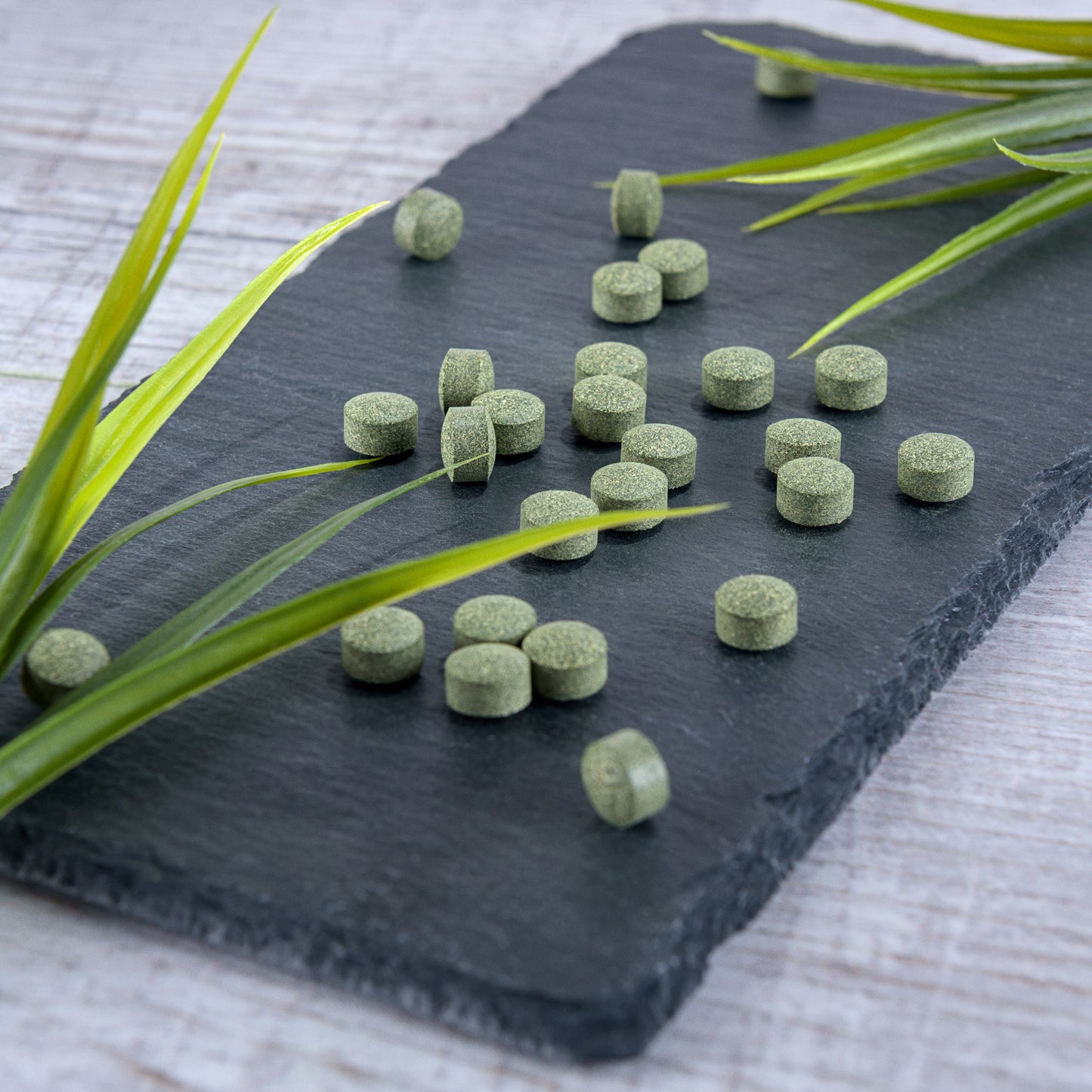 Bio Spirulina Chlorella Gerstengras Mix Tabletten ab 250g