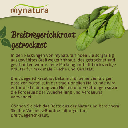 Grafik mit Illustration von frischem Breitwegerich und Text über getrocknetes und geschnittenes Breitwegerichkraut von mynatura auf grünem Hintergrund.