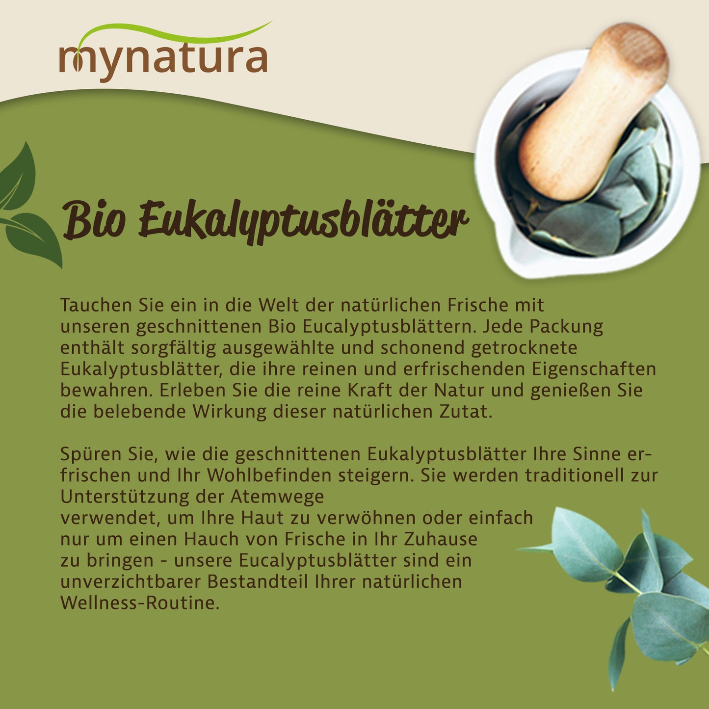 Grafik mit Mörser und frischen eukalyptusblättern, Text zu Bio Eukalyptusblätter geschnitten, Hintergrund in Grün und Beige gehalten.