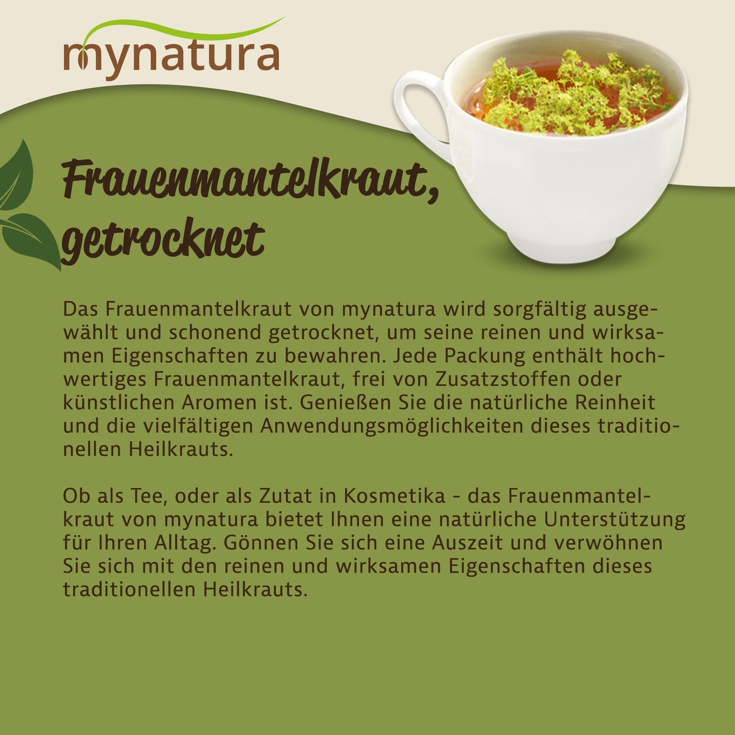 Tasse mit aufgebrühtem Frauenmantelkraut-Tee, daneben Text zu getrocknetem Frauenmantelkraut und dessen Eigenschaften.