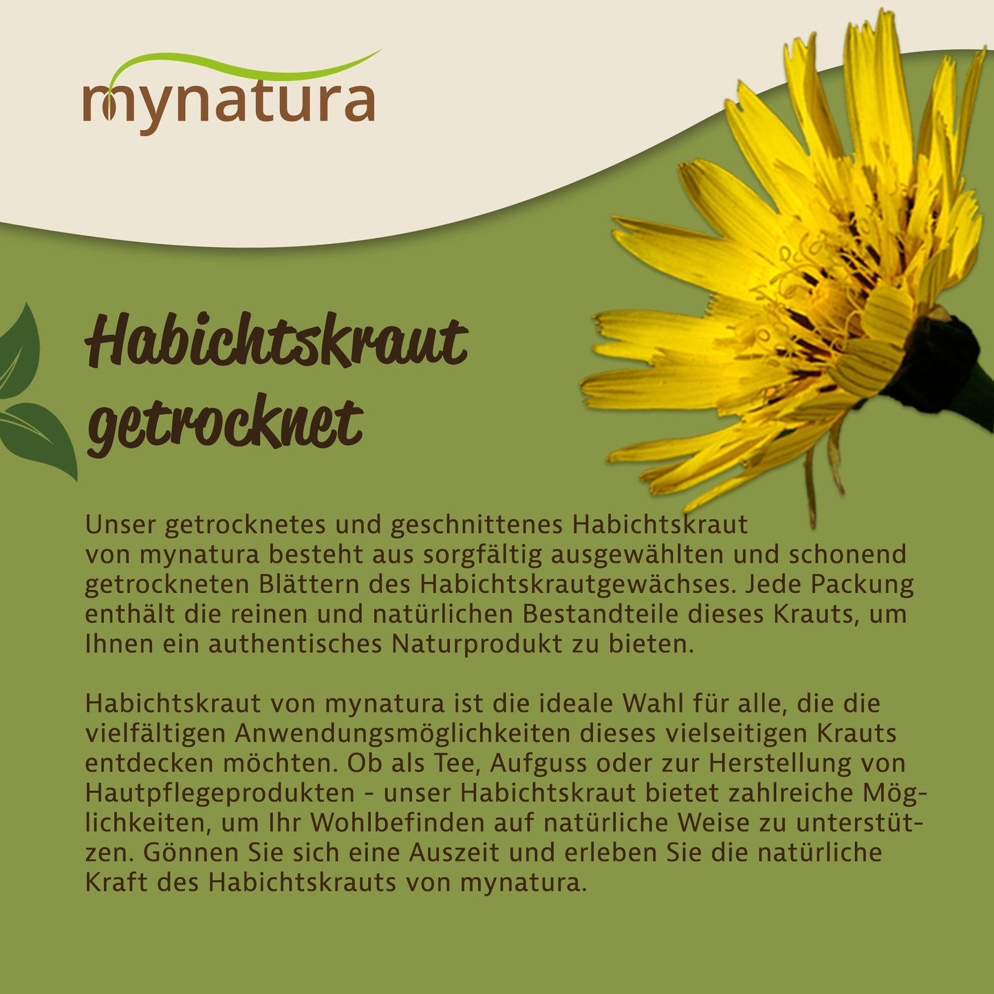 Detailansicht einer gelben Habichtskraut-Blüte mit Text zu getrocknetem, geschnittenem Habichtskraut und Informationen zu Herkunft und Anwendung.