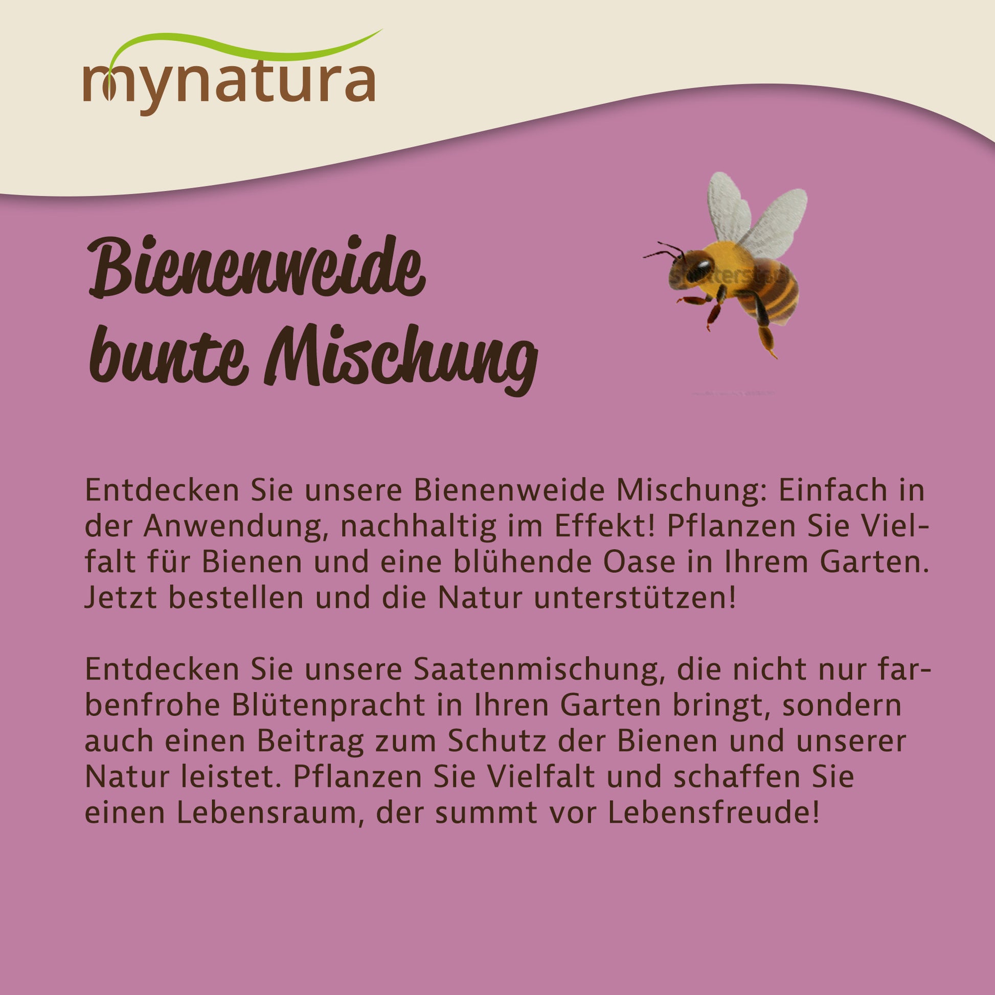 Infografik mit Text zur bunten Mischung der Bienenweide, Illustration einer Biene und Hinweise zur Anwendung im Garten.
