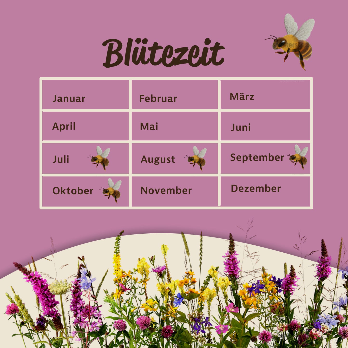 Blütezeit-Tabelle der Bienenweide mit Monaten und Bienen-Illustrationen, unten bunte Blumenwiese als Symbol für Wiesenfläche im Garten.