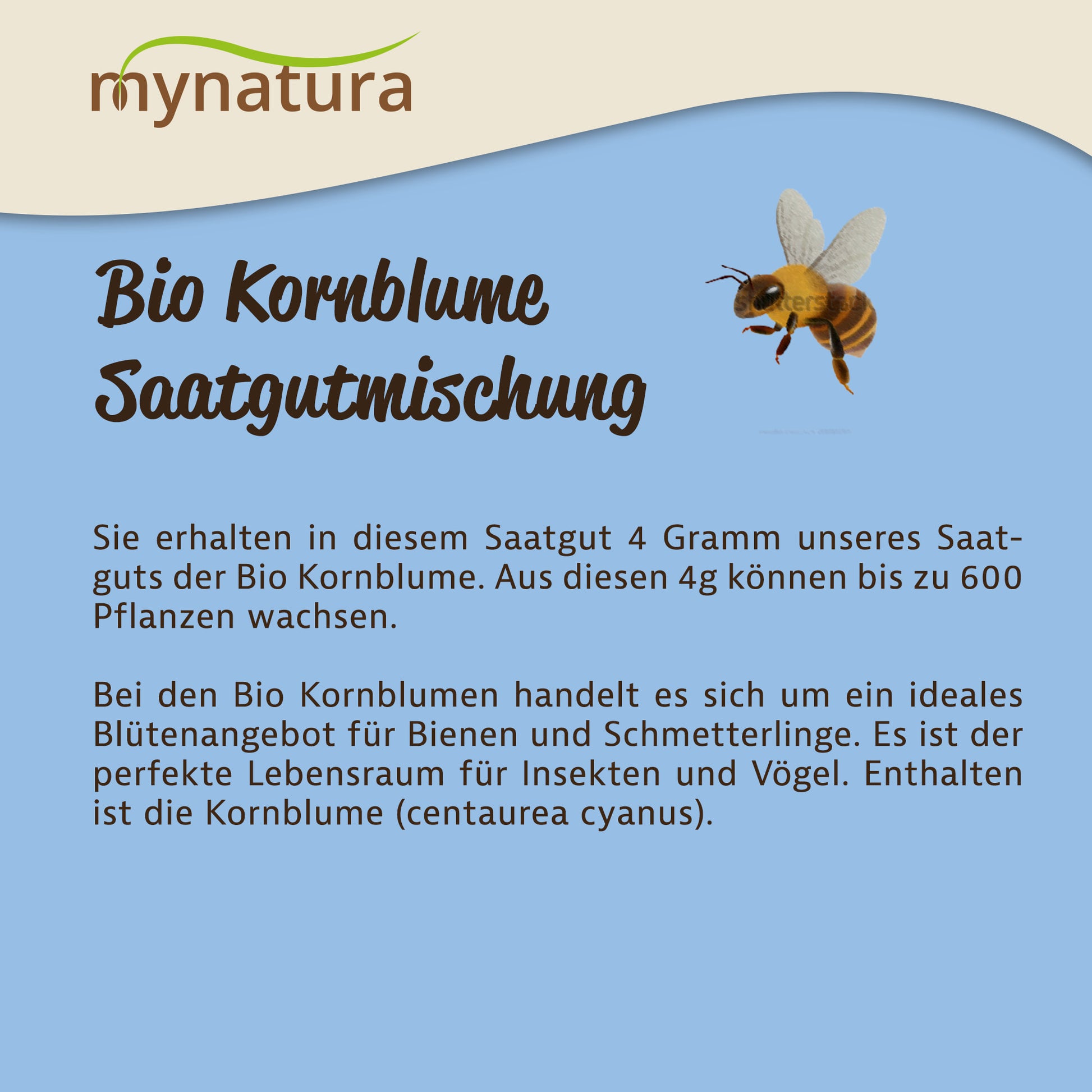 Infografik zur Mynatura Bio Kornblume Saatgutmischung mit Textinformationen und einer fliegenden Biene auf blauem Hintergrund.
