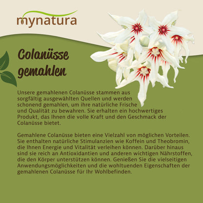 Nahaufnahme einer Illustration von Colanuss-Blüten mit Text über die Herkunft und Verarbeitung der gemahlenen Colanüsse für die vegane Küche.