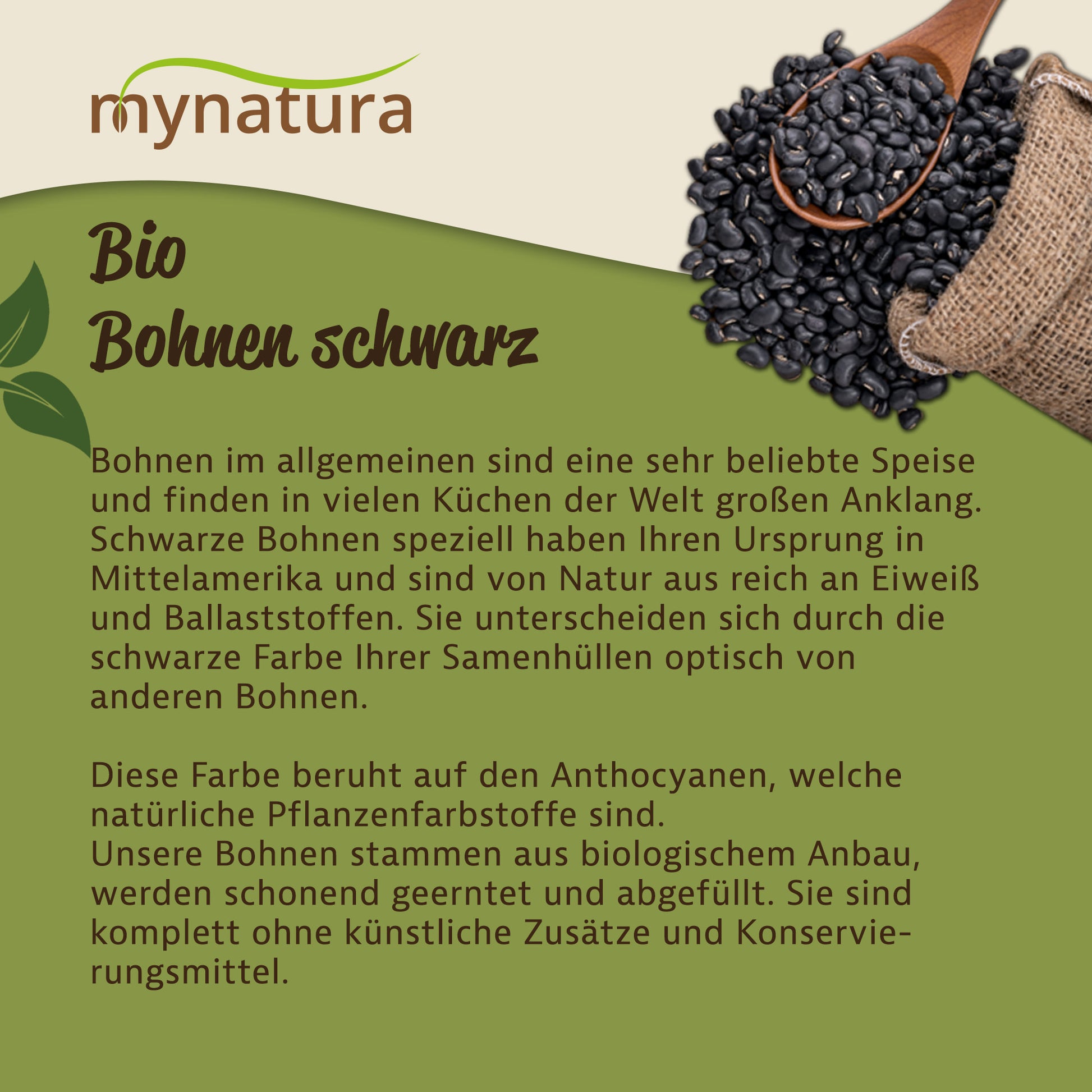 Holzlöffel mit schwarzen Bohnen auf einem Jutesack, daneben Text zu Herkunft und Eigenschaften der Bohnen als vielseitige Superfood.