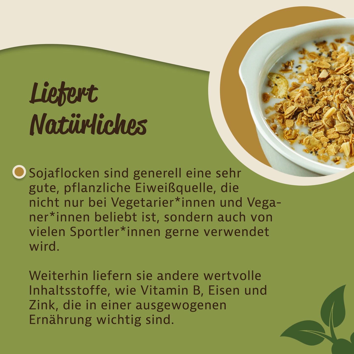 Schale mit Sojaflocken und Milch als vielseitige pflanzliche Zutat fürs Frühstück von oben fotografiert.