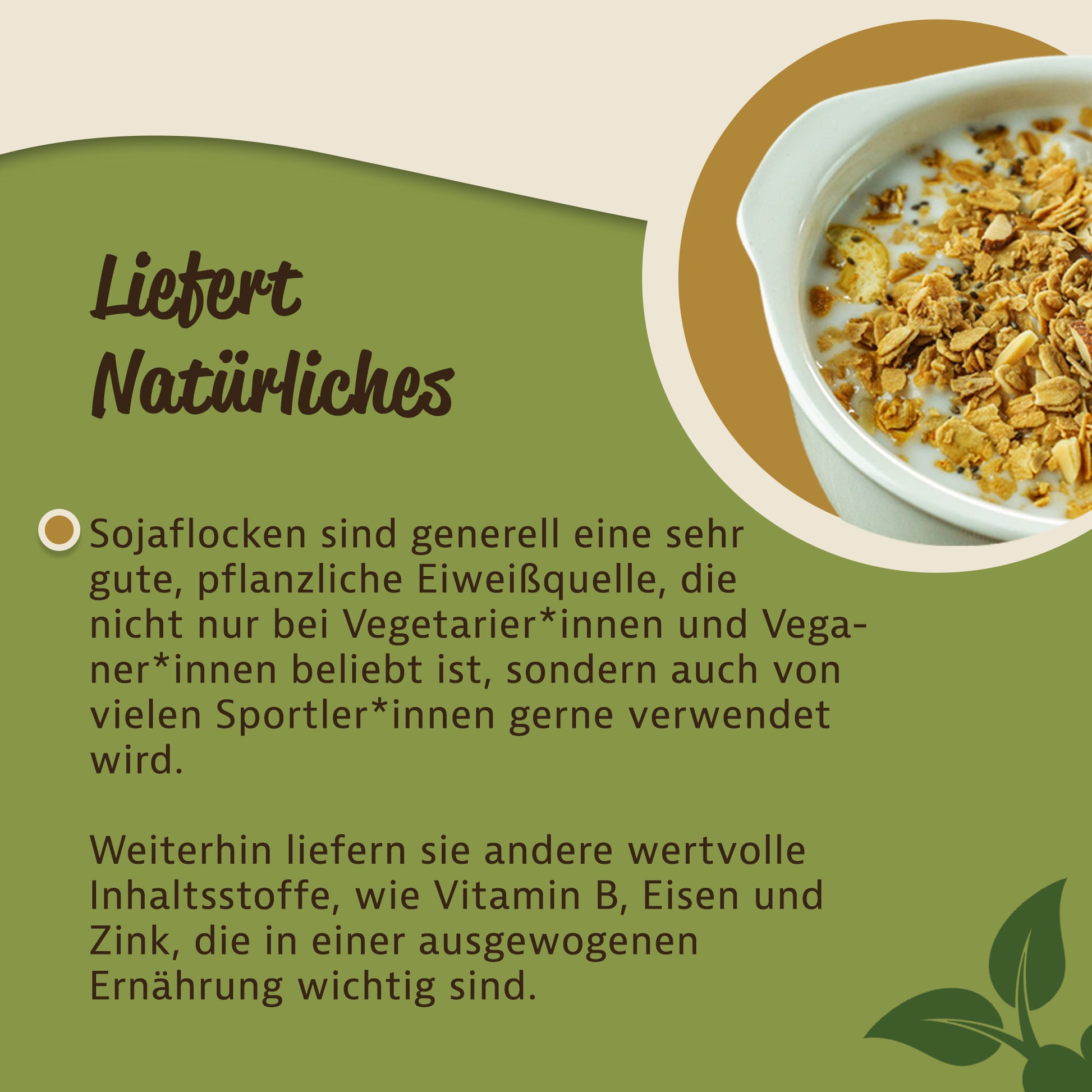 Schale mit Sojaflocken und Milch als vielseitige pflanzliche Zutat fürs Frühstück von oben fotografiert.