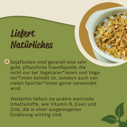 Schale mit Sojaflocken und Milch als vielseitige pflanzliche Zutat fürs Frühstück von oben fotografiert.
