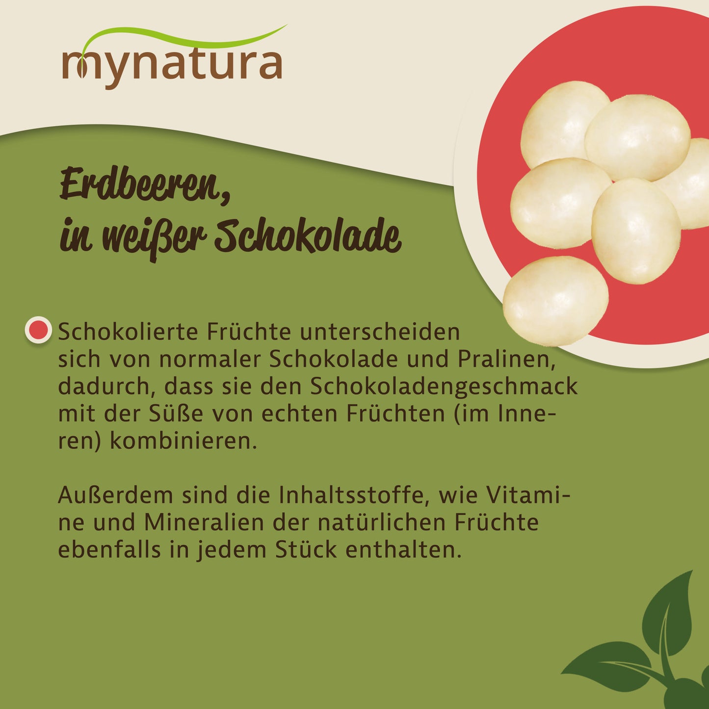 Illustration von gefriergetrockneten Erdbeeren in weißer Schokolade auf grünem Hintergrund mit Infotext zu Früchte-Snacks.
