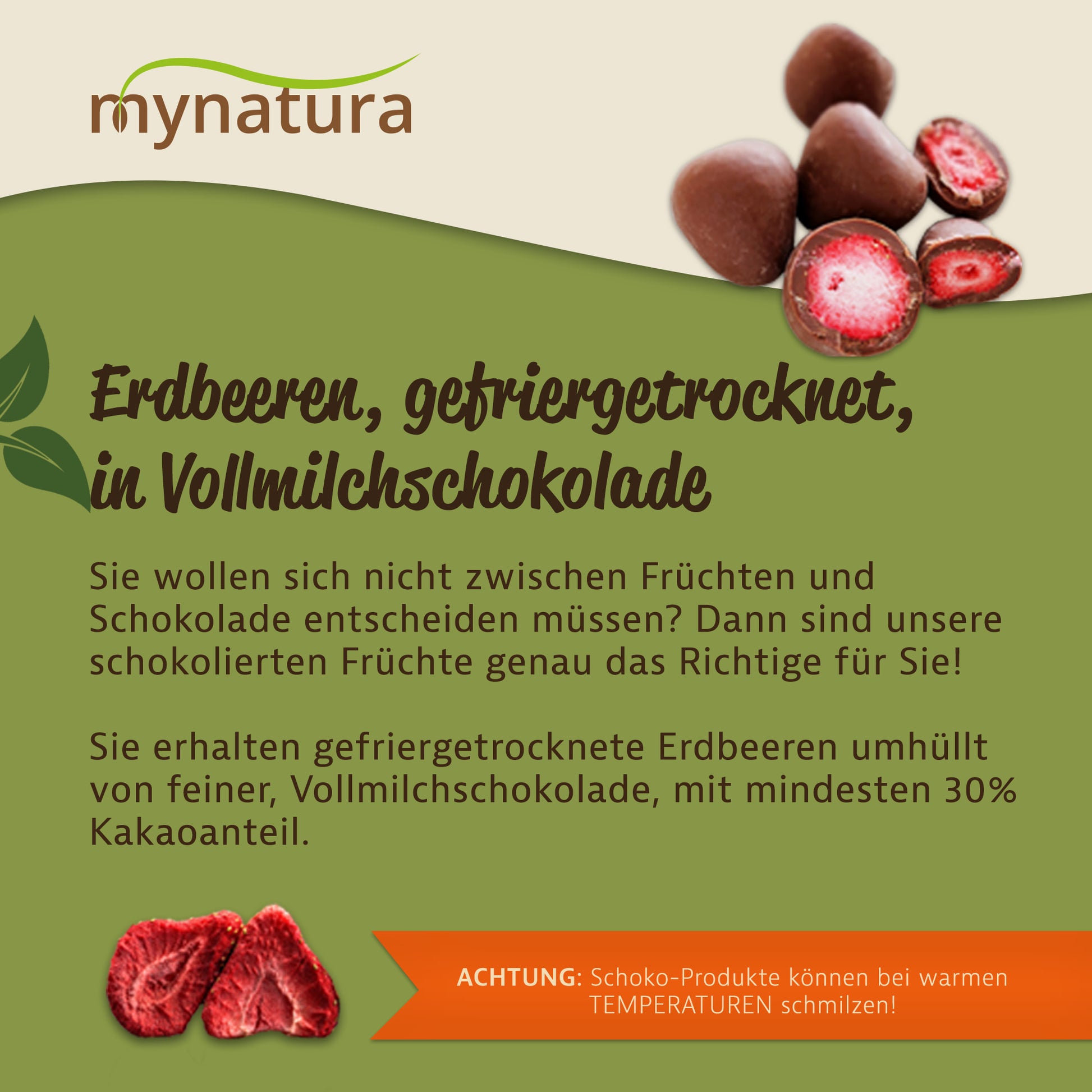 Gefriergetrocknete Erdbeeren in Vollmilchschokolade, einige Früchte angeschnitten, daneben Text zur Produktbeschreibung auf grünem Hintergrund.
