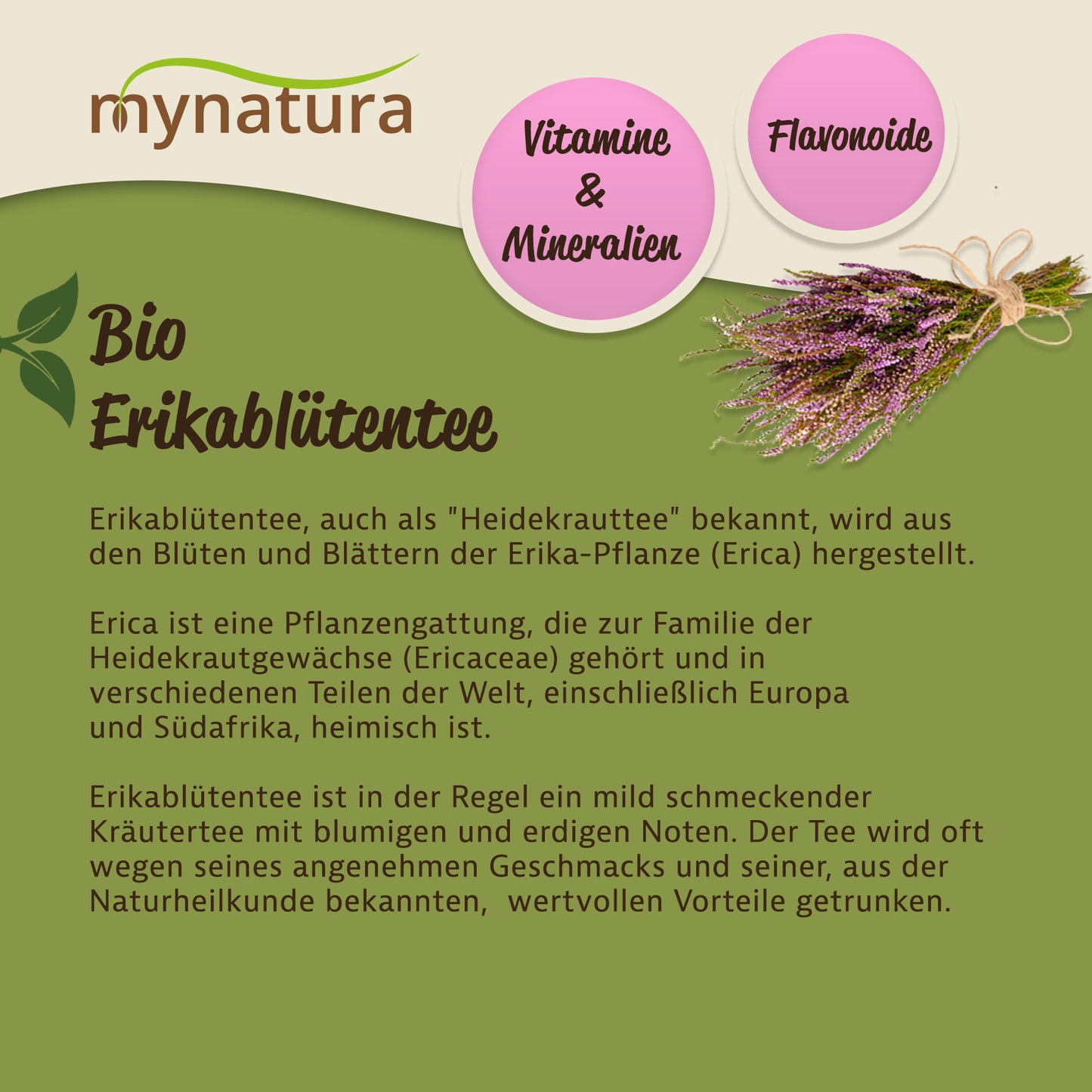 Infografik zu Erikablütentee mit Illustration eines Erikastraußes und Text zu Herkunft und Eigenschaften der Kräuter.