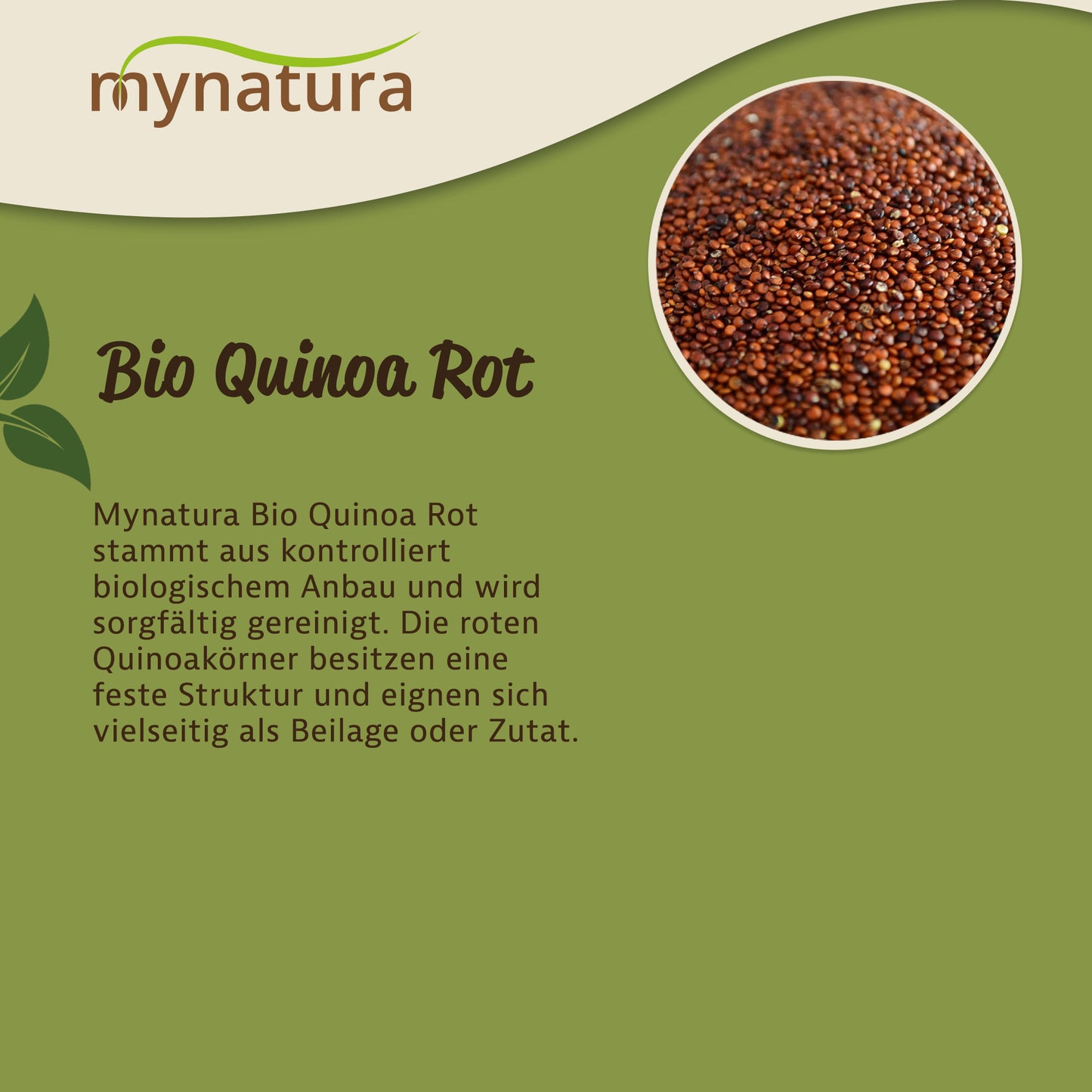 Nahaufnahme rotes Quinoa als Kerne oben rechts, daneben Text zu Herkunft und Vielseitigkeit des Pseudogetreides auf grünem Hintergrund.