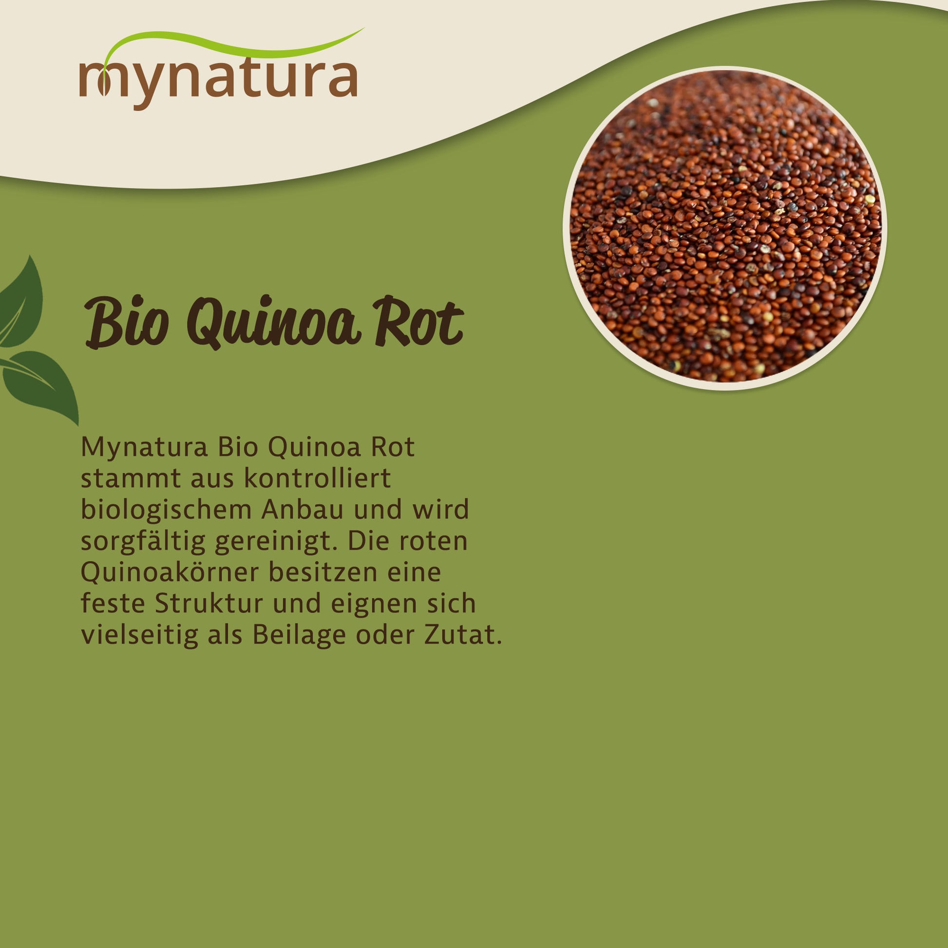 Nahaufnahme rotes Quinoa als Kerne oben rechts, daneben Text zu Herkunft und Vielseitigkeit des Pseudogetreides auf grünem Hintergrund.