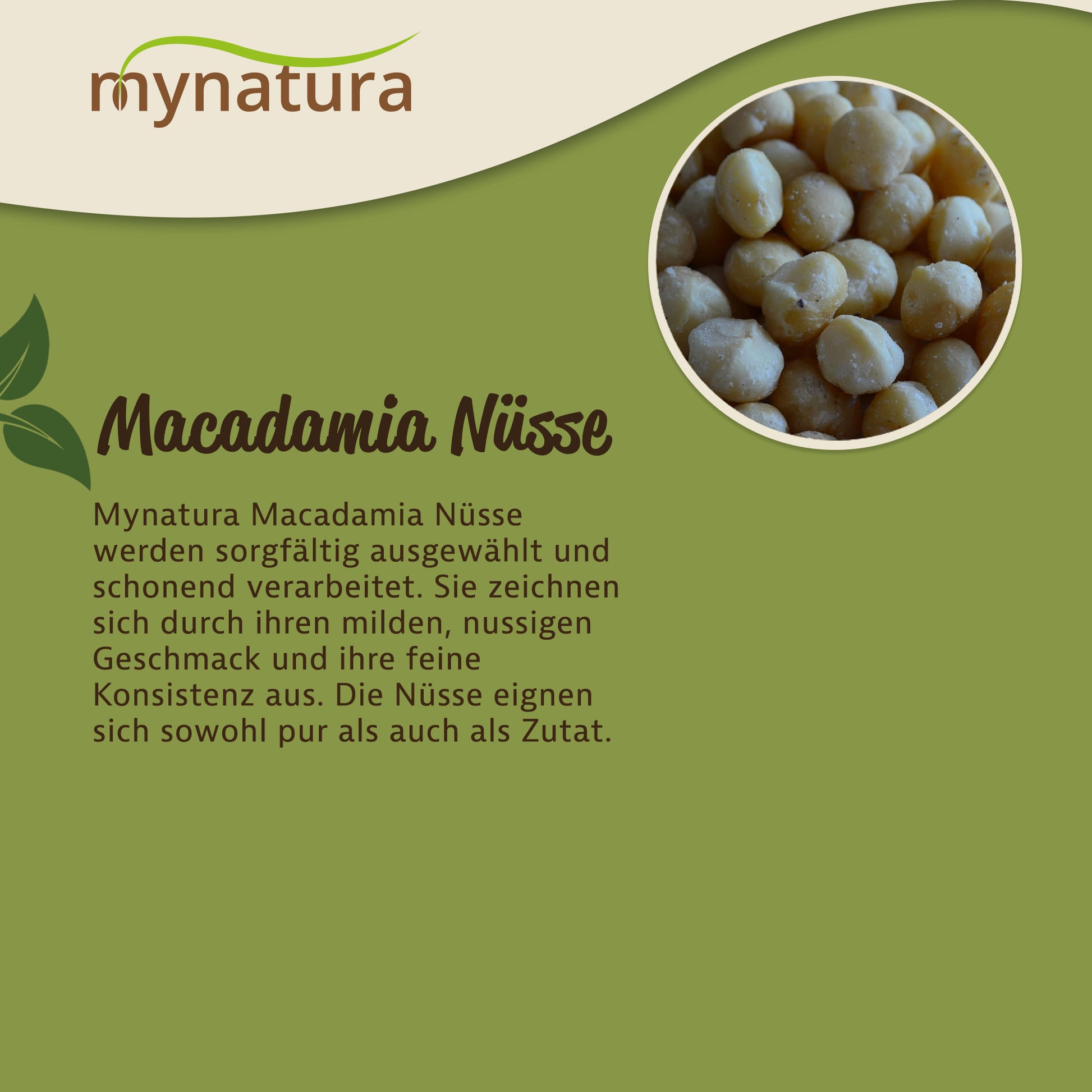 Nahaufnahme von macadamia kerne in einer runden Aussparung, daneben Text zu den Eigenschaften der edlen macadmianüsse von Mynatura auf grünem Hintergrund.