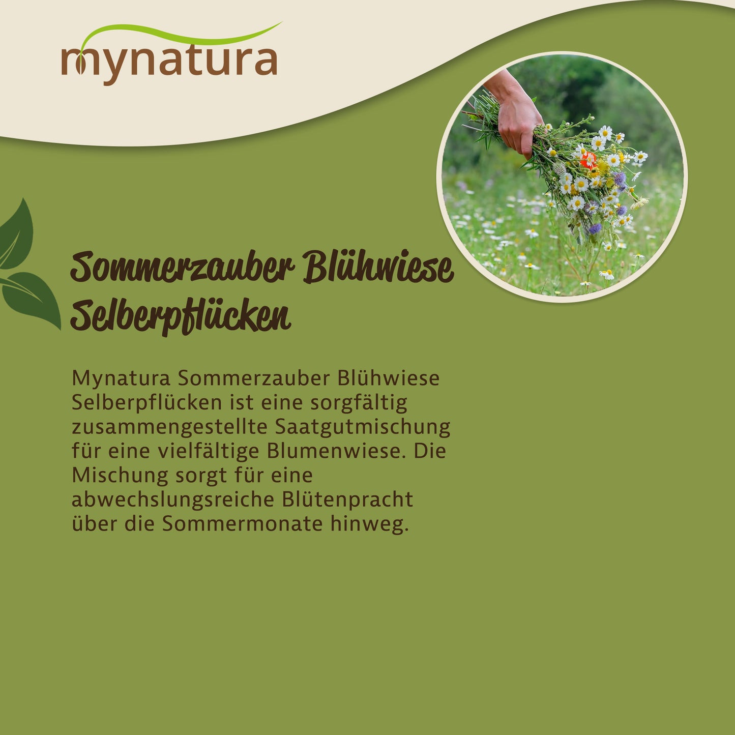 Hand hält frisch gepflückten Blumenstrauß auf einer wiesenfläche, Text zur sommerzauber Blühwiese Selberpflücken von mynatura.