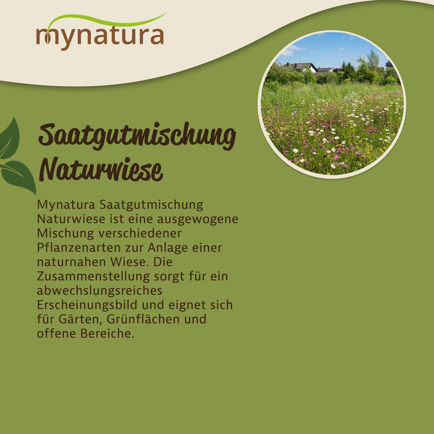 Infografik zur Mynatura Saatgutmischung Naturwiese mit Beschreibung und Foto einer blühenden Wiesenfläche im Garten.