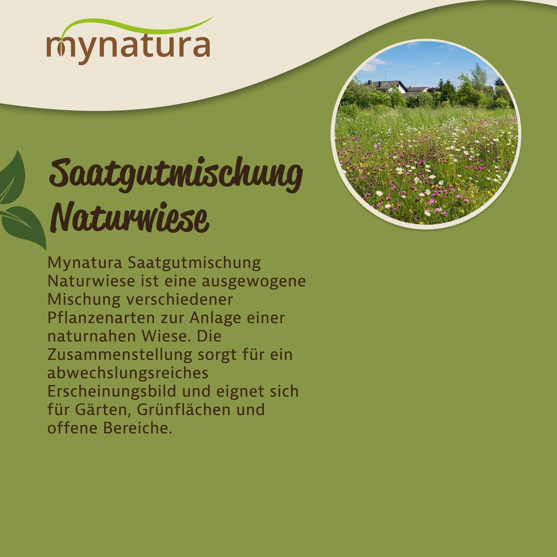 Infografik zur Mynatura Saatgutmischung Naturwiese mit Beschreibung und Foto einer blühenden Wiesenfläche im Garten.