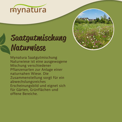 Infografik zur Mynatura Saatgutmischung Naturwiese mit Beschreibung und Foto einer blühenden Wiesenfläche im Garten.