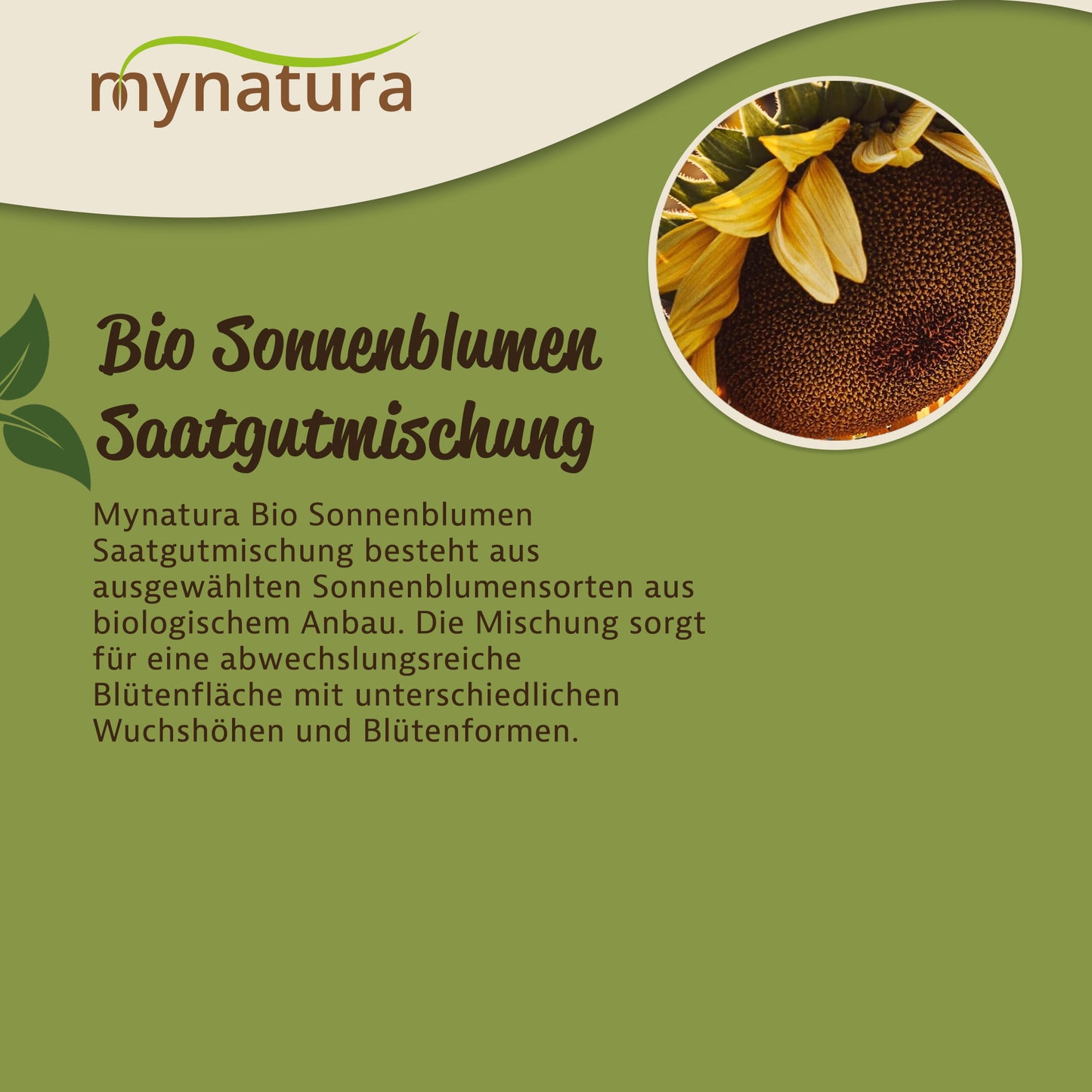 Detailaufnahme einer Sonnenblumenblüte und Text zur Mynatura Bio Sonnenblumen Saatgutmischung auf grünem Hintergrund.
