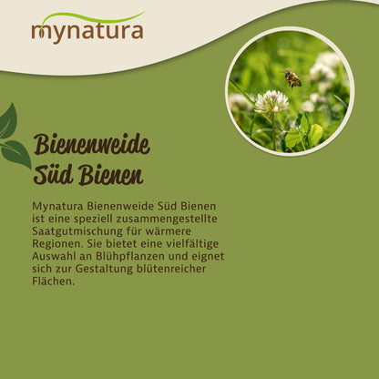 Nahaufnahme einer Biene auf einer Blüte, daneben Text zur Bienenweide Süd Bienen Saatgutmischung für wiesenfläche und garten.