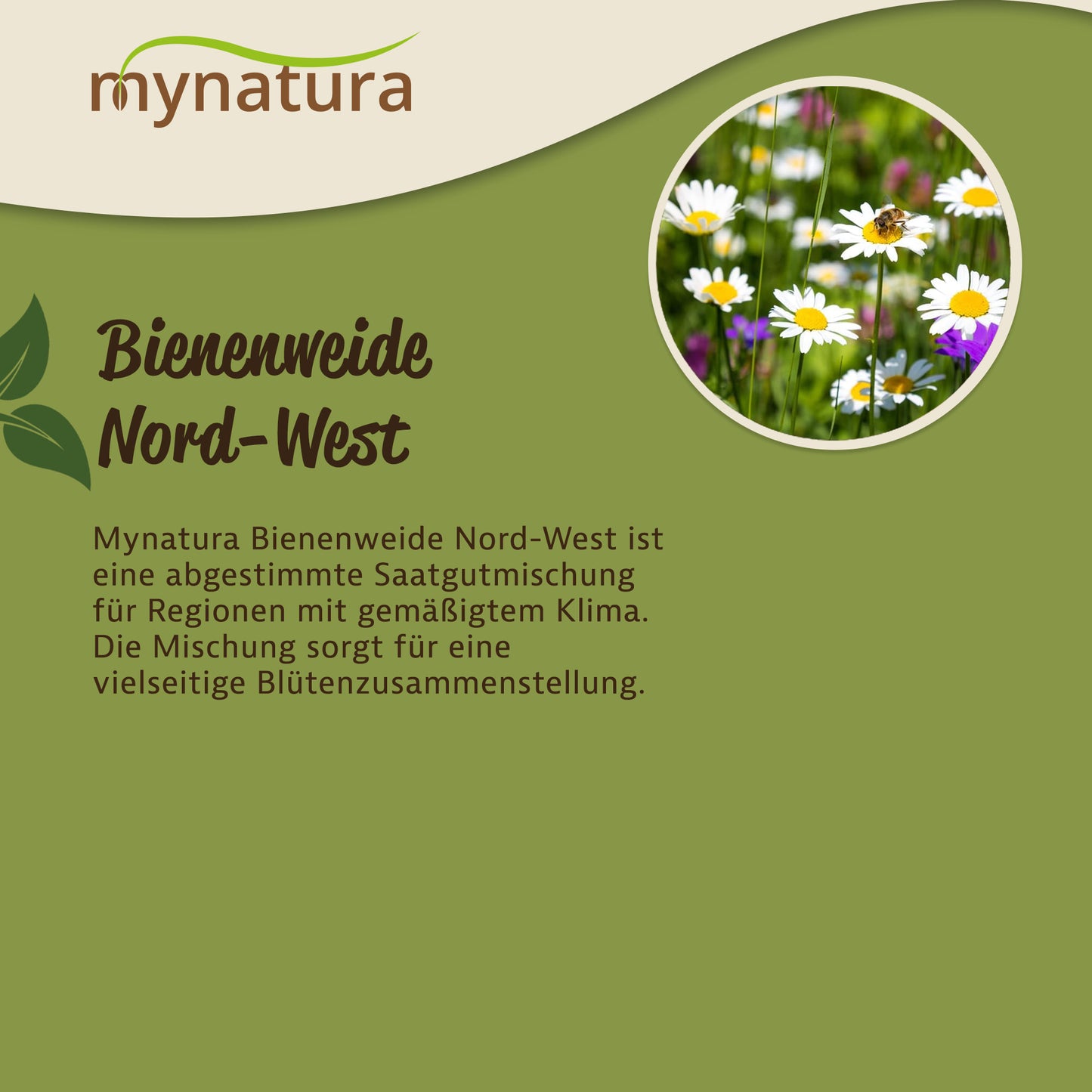 Nahaufnahme von blühenden Blumen auf einer Wiesenfläche mit Bienen, daneben Text zur Bienenweide Nord-West von Mynatura.