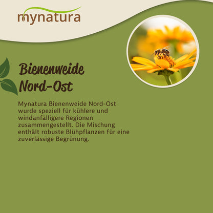 Infografik zu Mynatura Bienenweide Nord-Ost mit Textbeschreibung und Foto einer Biene auf einer gelben Blüte, grüner Hintergrund.
