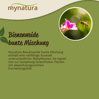 Nahaufnahme einer Biene an einer Blüte, daneben Text zur Bienenweide bunte Mischung auf grünem Hintergrund.