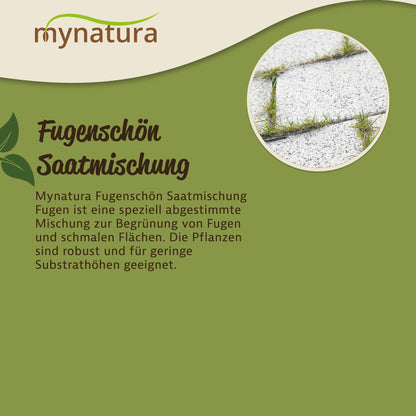 Nahaufnahme von Pflasterfugen mit grünem Bewuchs, passend zur Fugenschön Saatmischung für Garten und Balkon.