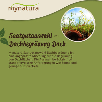Grafik mit Text zur Saatgutauswahl Dachbegrünung, oben Mynatura-Logo, rechts rundes Foto mit bepflanzter Wiesenfläche auf Dach