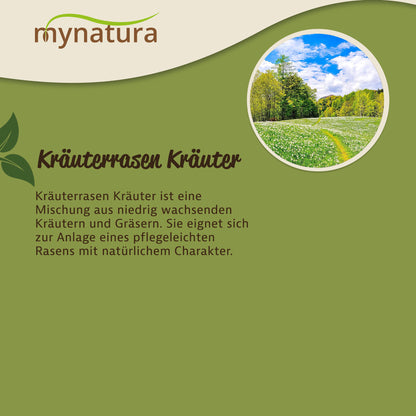 Wiesenfläche mit blühenden Kräutern und Bäumen unter blauem Himmel, Text zur Kräuterrasen Mischung für naturnahen Garten.