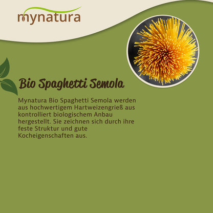 Obere Ansicht eines Bündels roher Spaghetti Semola Nudeln als Kreis, daneben Text zu Herstellung und Eigenschaften.