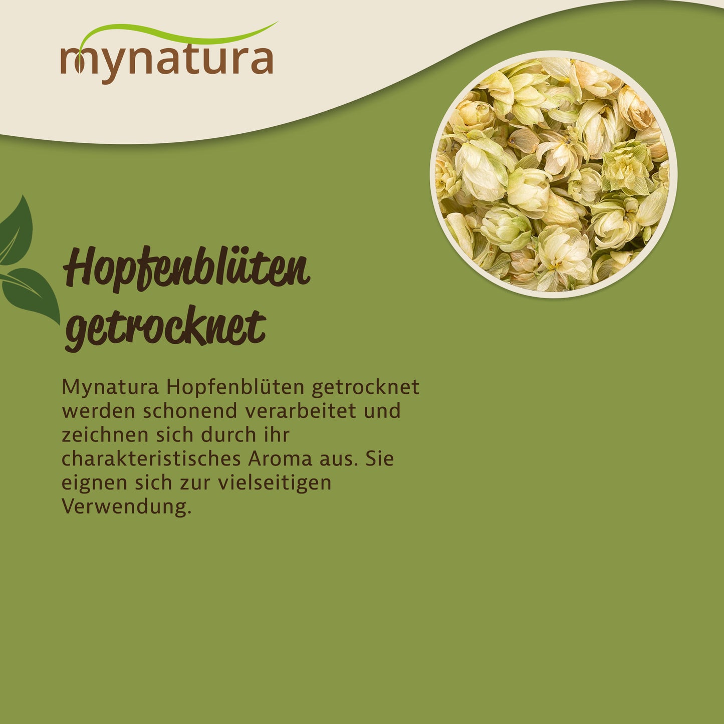 Nahaufnahme getrockneter hopfenblüten in einem runden Ausschnitt, daneben Text zu mynatura hopfenblüten getrocknet auf grün-beigem Hintergrund.