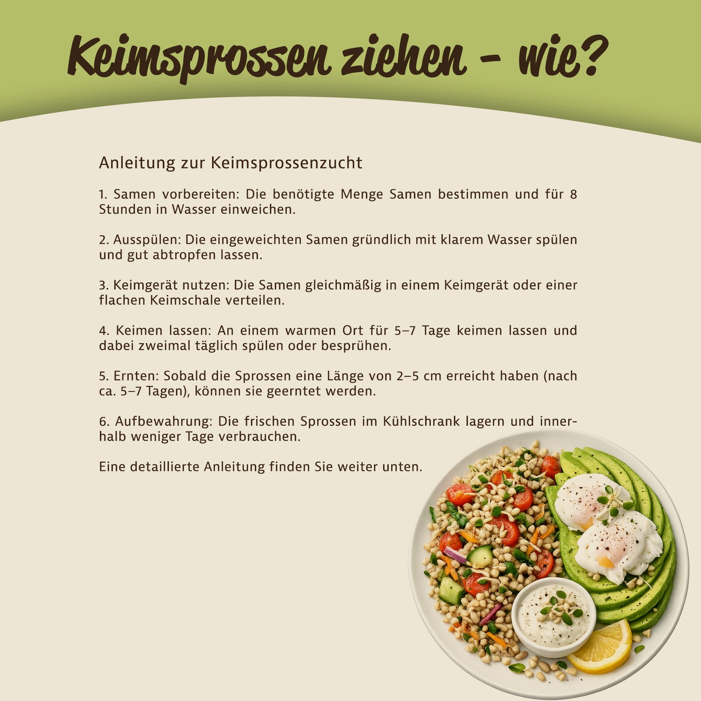 Anleitung zur Zucht von Keimsprossen mit Text und einem Teller mit Gemüse, Kräutern und Sprossen als Beispielgericht.