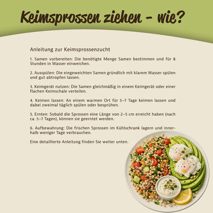 Anleitung zur Zucht von Keimsprossen mit Text und einem Teller mit Gemüse, Kräutern und Sprossen als Beispielgericht.