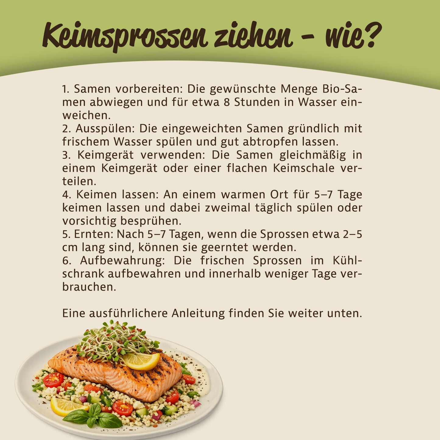 Anleitung zum Ziehen von Keimsprossen mit Leinsamen, daneben Teller mit Lachs, Sprossen und Gemüse als Serviervorschlag.