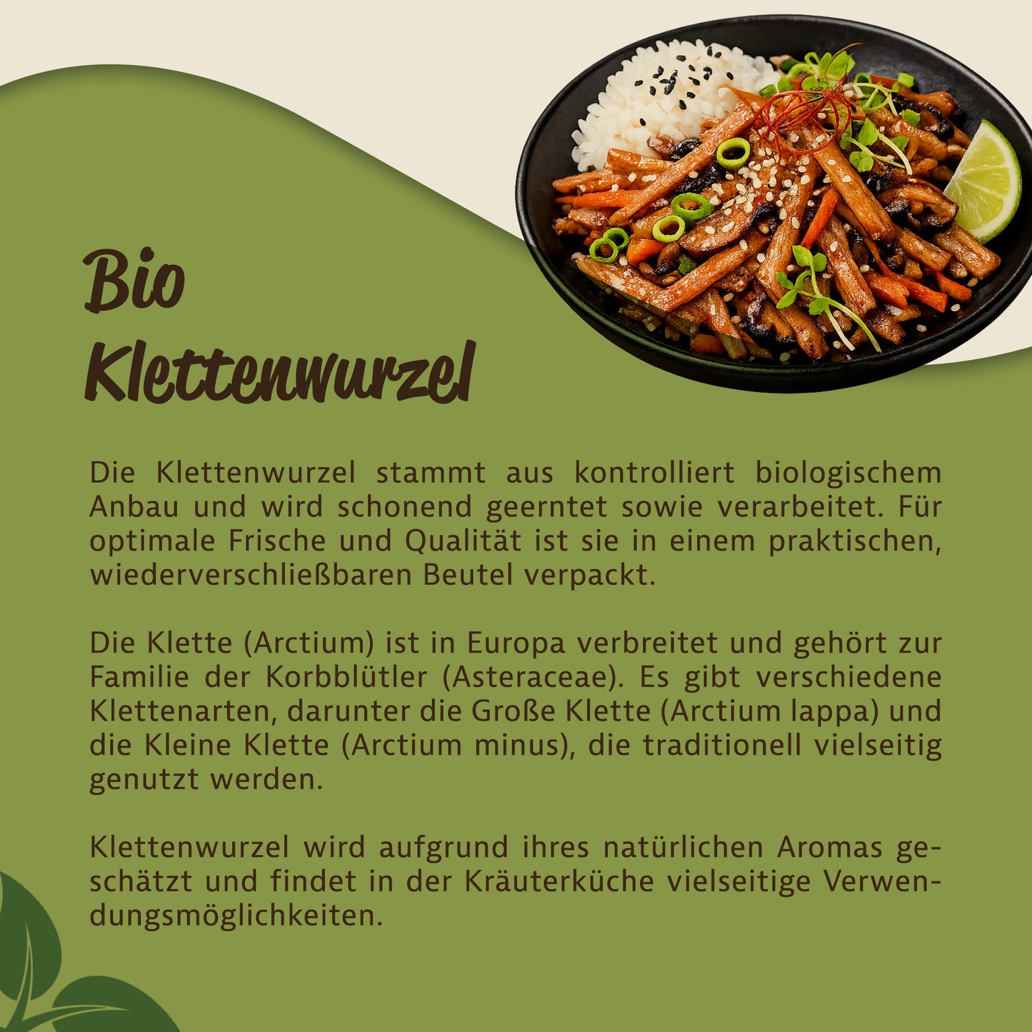 Schale mit Reis und Gemüse, zubereitet mit geschnittener Klettenwurzel, daneben Infotext zur Herkunft der Kräuter.