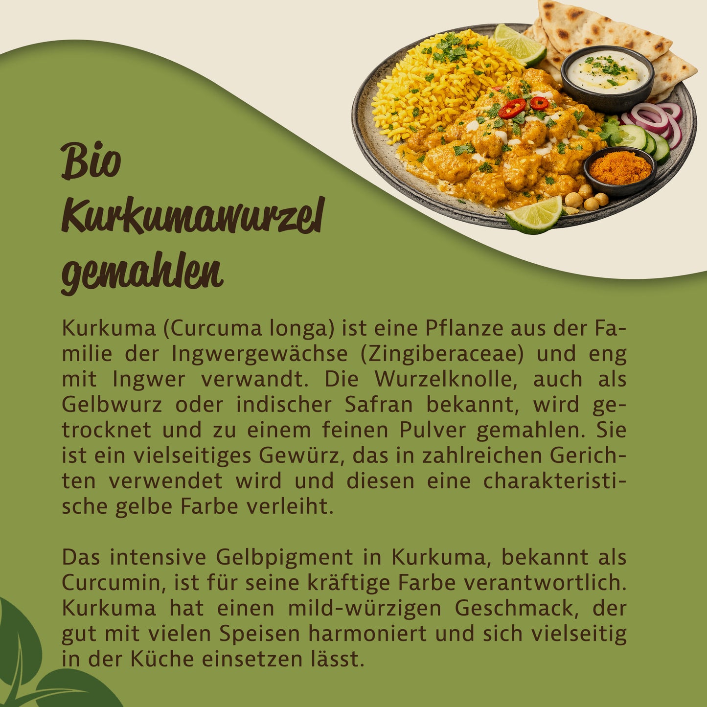 Teller mit Reisgericht, Gemüse und Brot, daneben Text über die Herkunft und Verwendung von Kurkuma als aromatisches gewürz in der Küche.