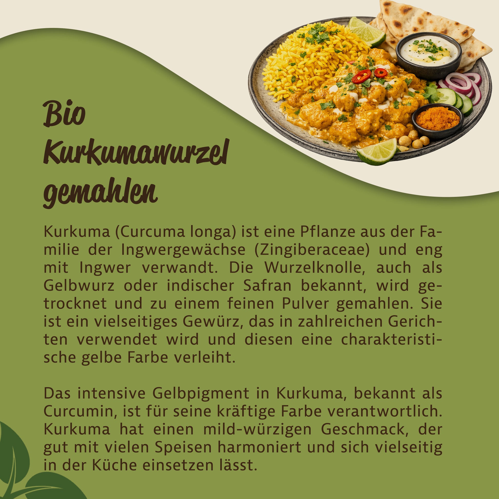 Teller mit Reisgericht, Gemüse und Brot, daneben Text über die Herkunft und Verwendung von Kurkuma als aromatisches gewürz in der Küche.