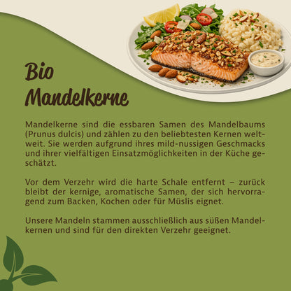 Teller mit Lachs, Reis, Salat und bestreut mit mandelkerne, daneben Text zu Bio Mandeln unbehandelt