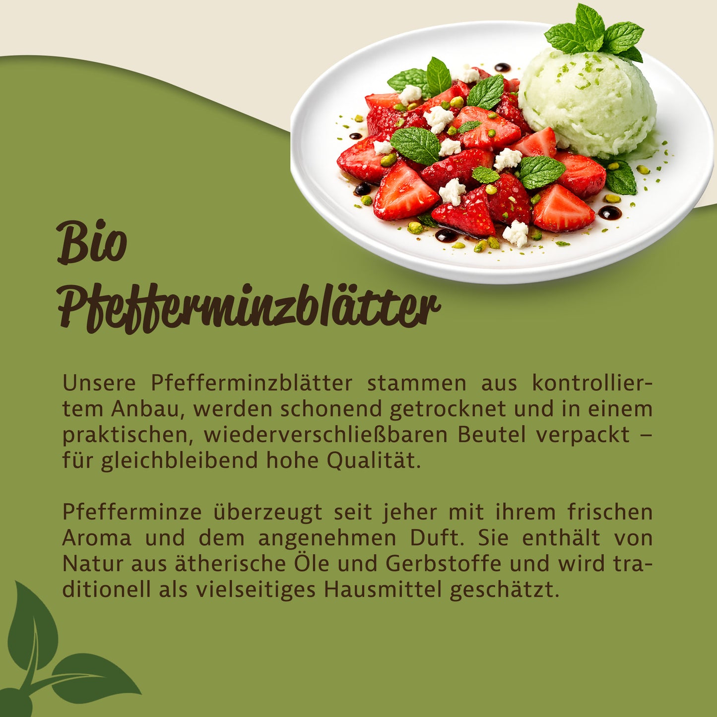 Teller mit Erdbeeren, Eis und frischen Pfefferminzblättern als Serviervorschlag für getrocknete Kräuter