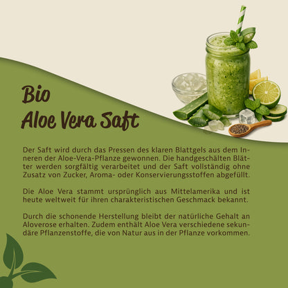 Grüner Smoothie im Glas mit Strohhalm, umgeben von Aloe-Blattstücken, Limette, Minze und Chiasamen, als Serviervorschlag für aloe vera fruchtsaft.