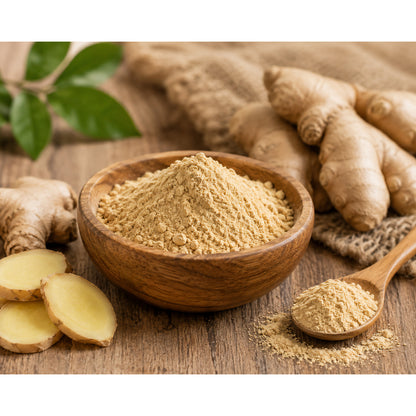 Nahaufnahme einer Holzschale mit ingwerpulver, daneben frischer ingwer, eine Holzlöffel mit gemahlenem ginger und grüne Blätter auf rustikalem Untergrund.