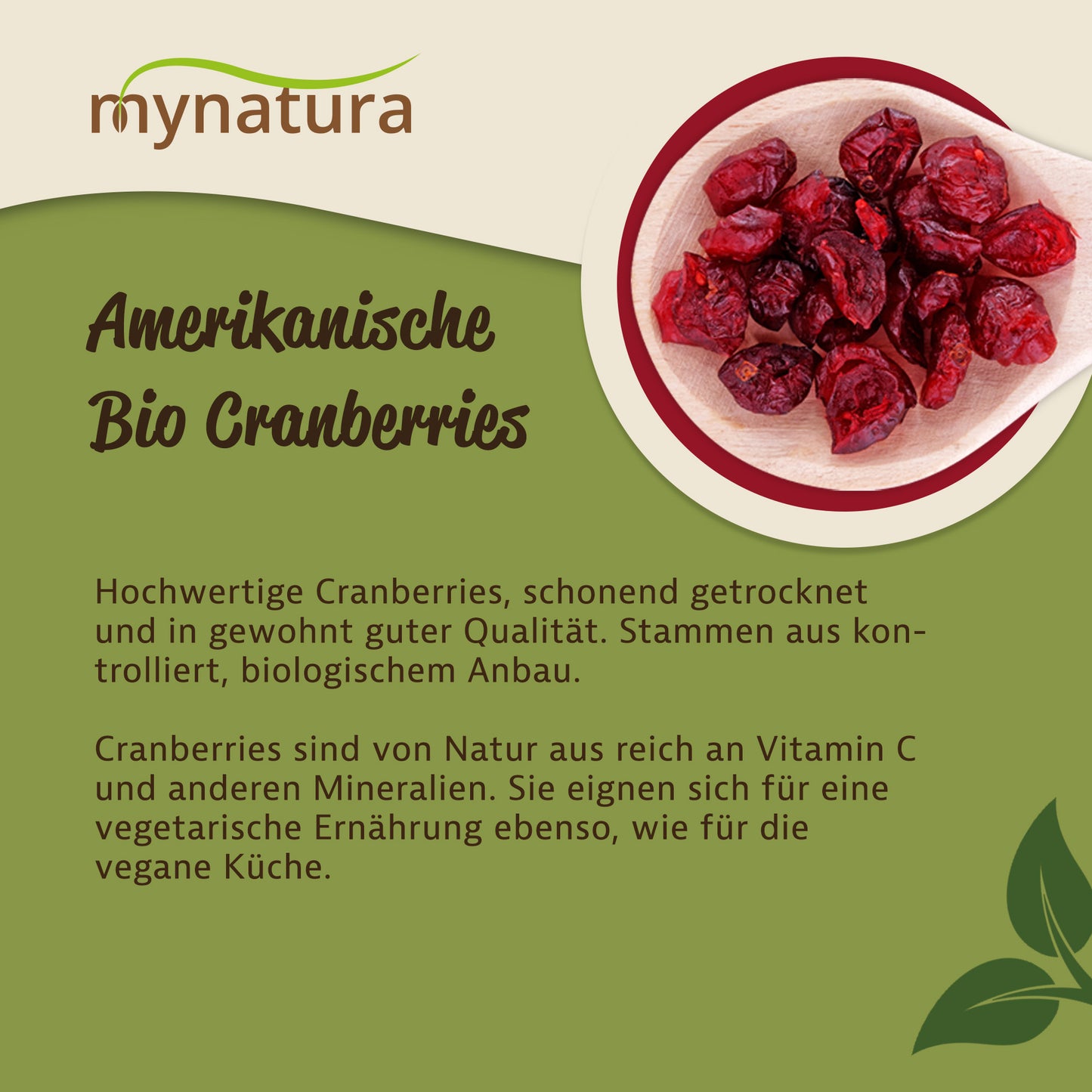 Bio Amerikanische Cranberries - im Beutel ab 1kg