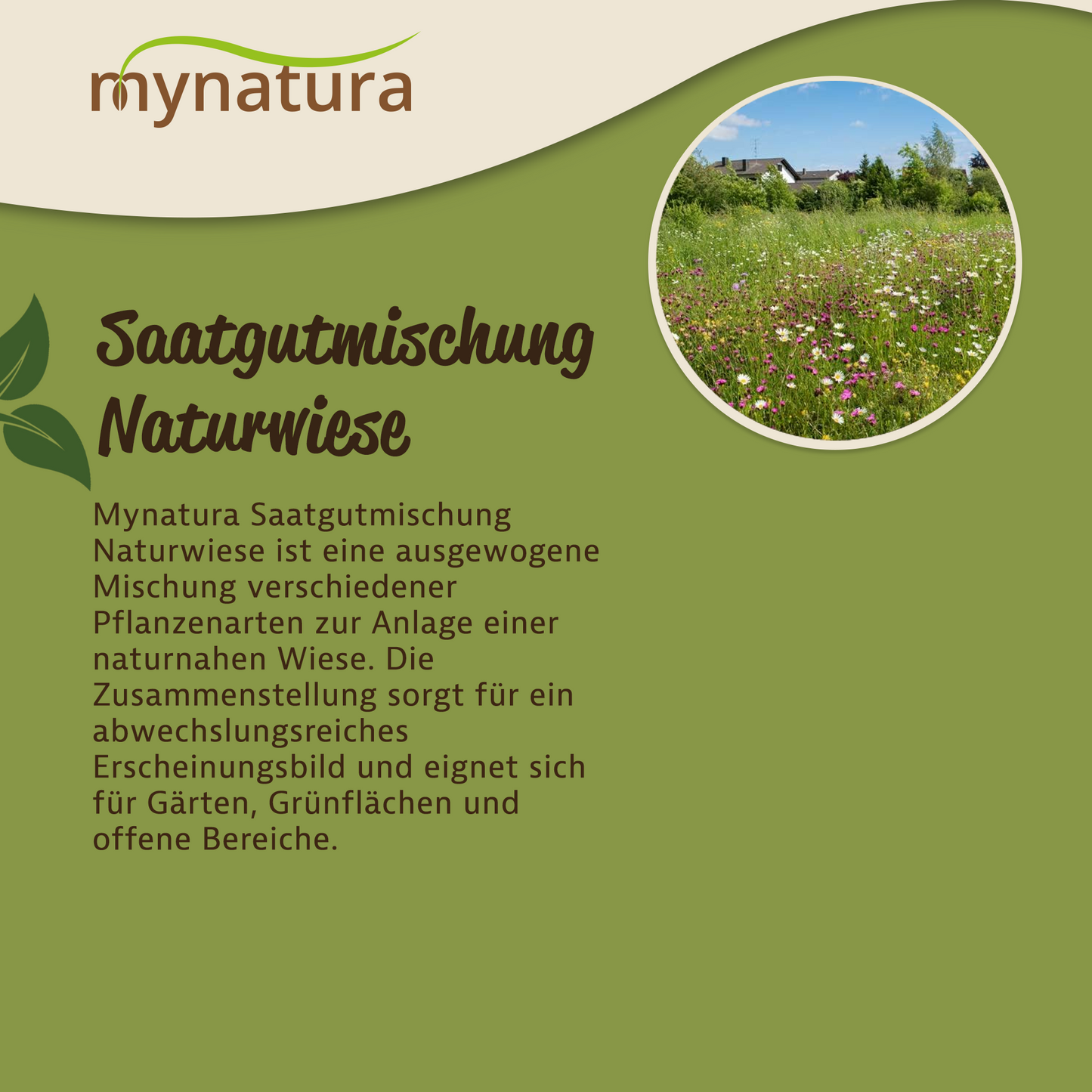 Mynatura Saatgutmischung Naturwiese (ab 50g)