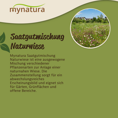 Mynatura Saatgutmischung Naturwiese (ab 50g)