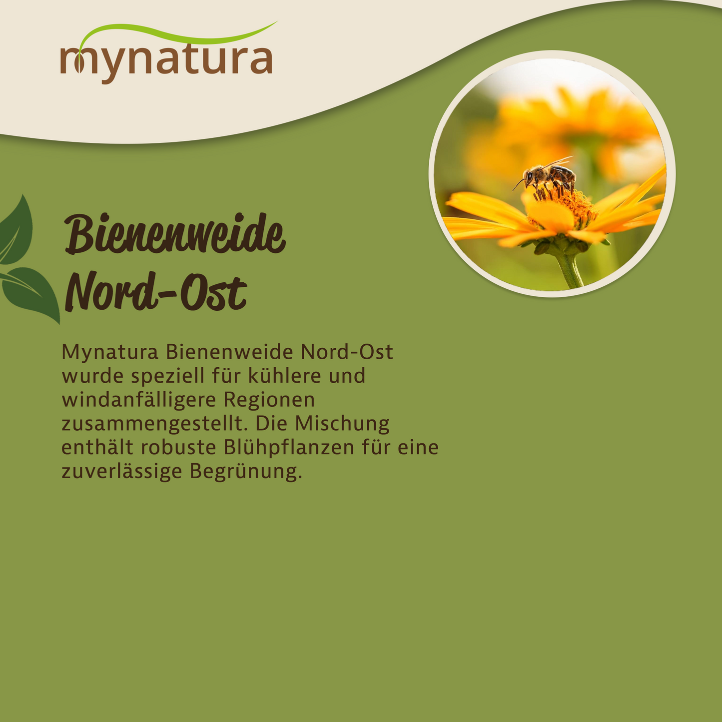 Mynatura Bienenweide Nord-Ost Bienen 50g