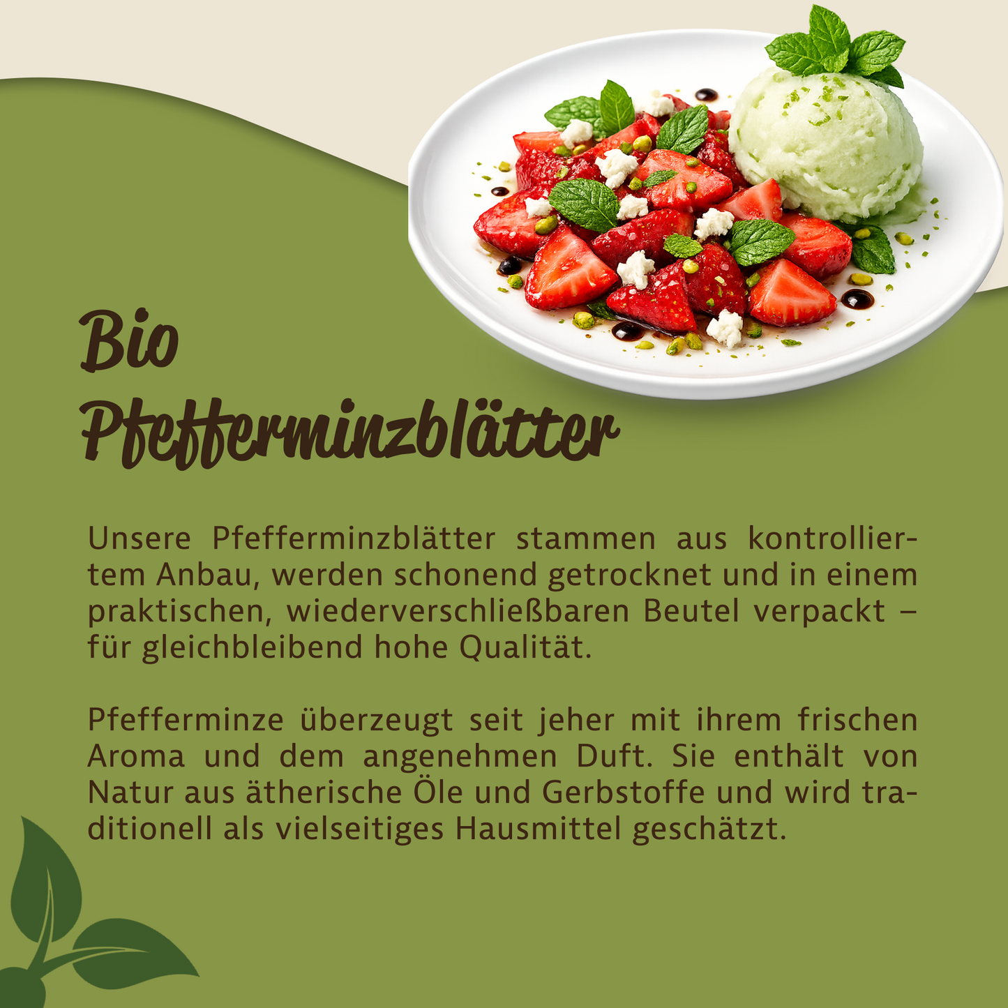 Mynatura Bio Pfefferminzblätter getrocknet – im Beutel ab 100g