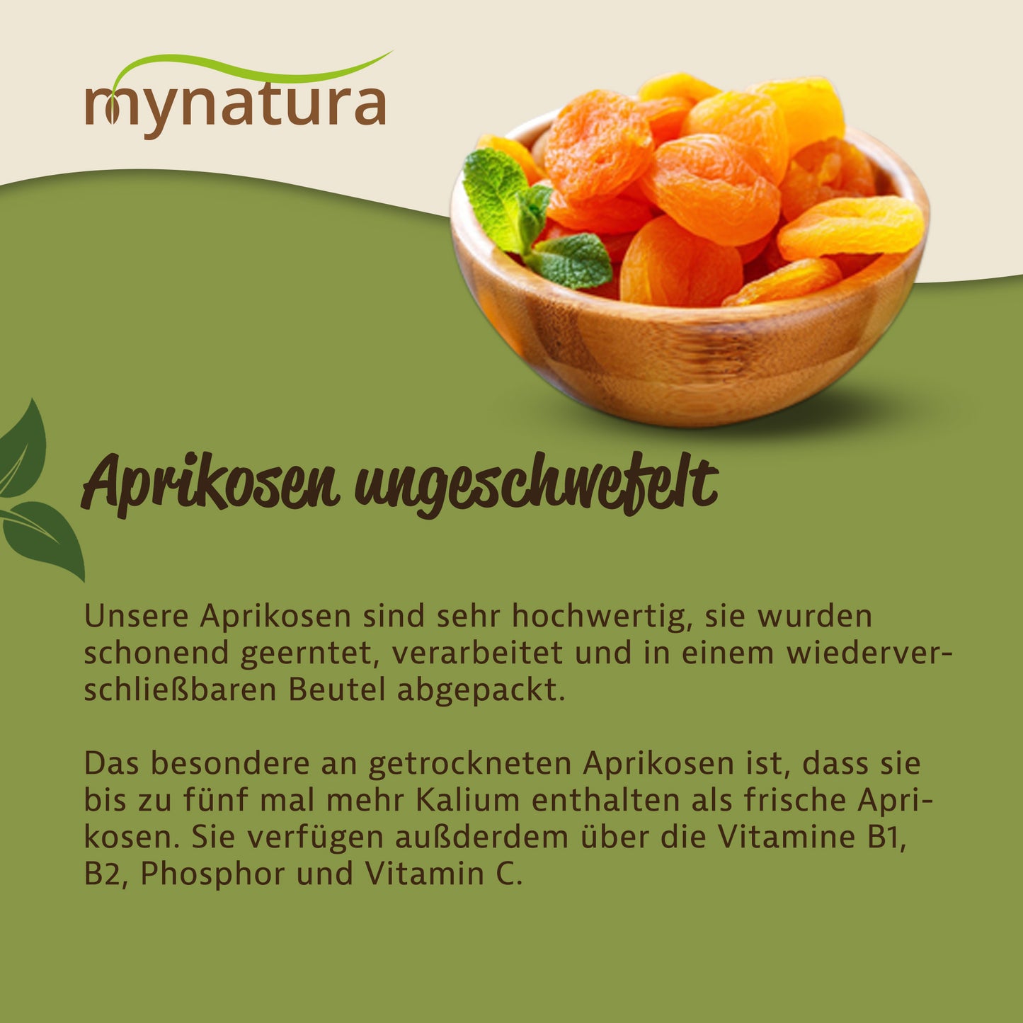 Getrocknete Aprikosen ungeschwefelt – im Beutel ab 1kg